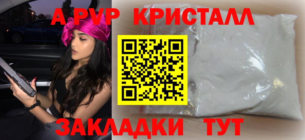 Альфа ПВП СК Чайковский