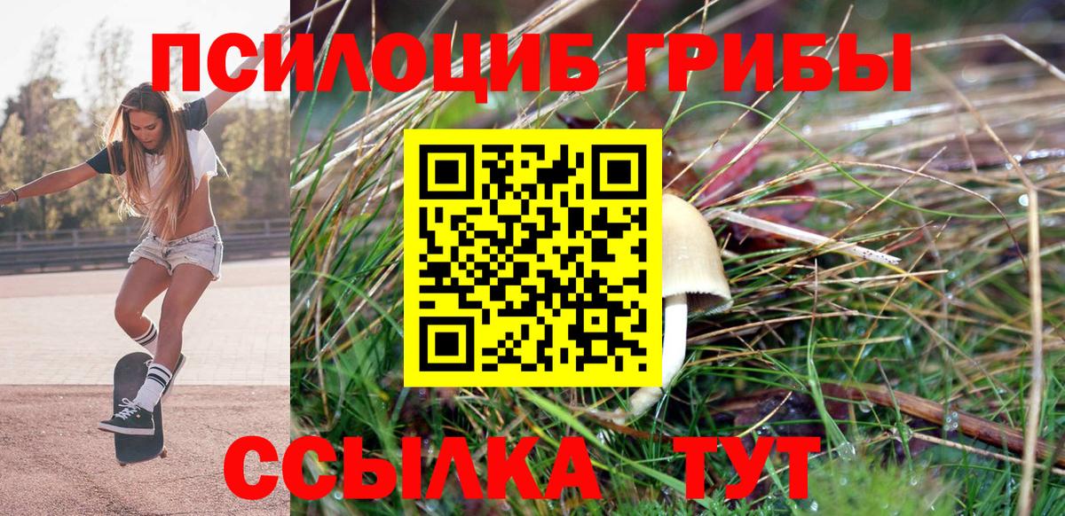 Галлюциногенные грибы ЛСД Чайковский