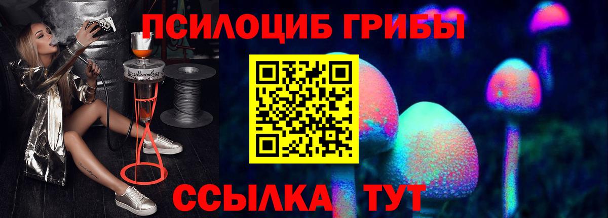 Чайковский  Галлюциногенные грибы мухоморы  Вход с VPN  Псилоцибиновые грибы Cubensis 